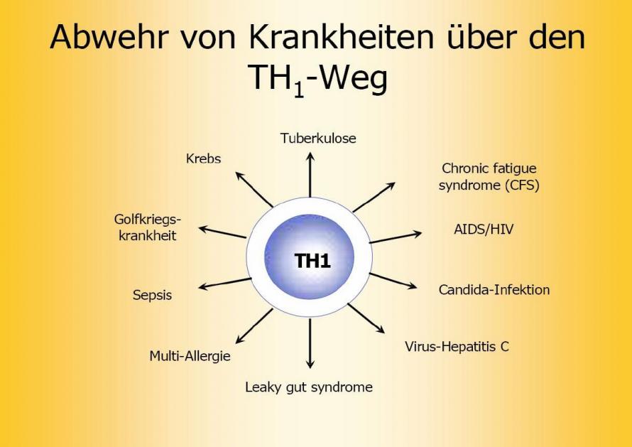 Abwehr von Krankheiten über den TH1-Weg