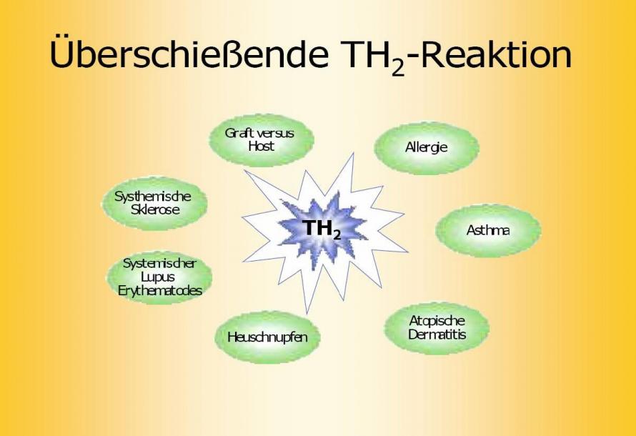 TH2-Reaktion